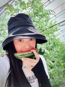 周二吃大瓜,揭秘娱乐圈幕后故事